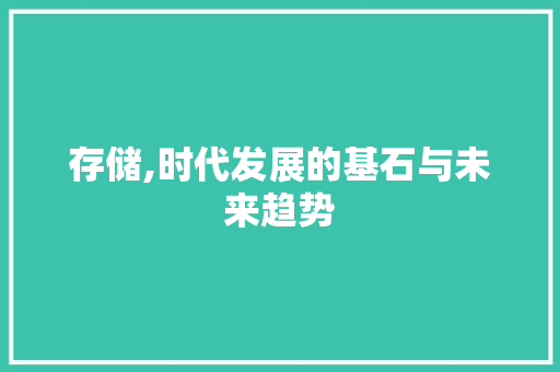 存储,时代发展的基石与未来趋势