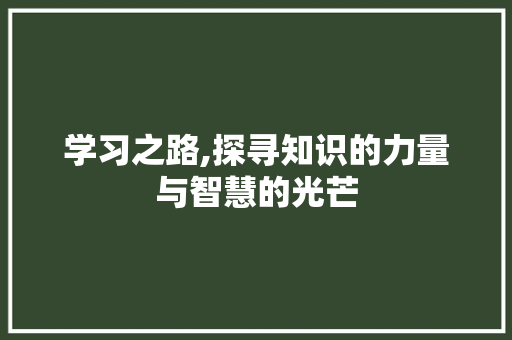 学习之路,探寻知识的力量与智慧的光芒
