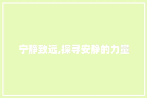 宁静致远,探寻安静的力量