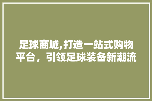 足球商城,打造一站式购物平台，引领足球装备新潮流