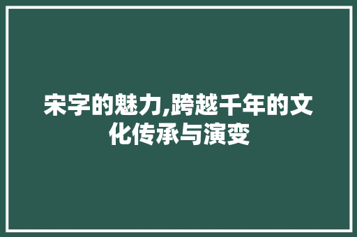 宋字的魅力,跨越千年的文化传承与演变