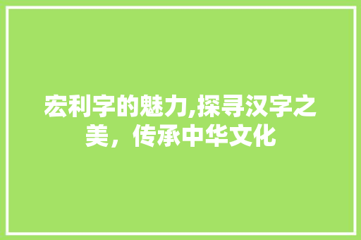 宏利字的魅力,探寻汉字之美，传承中华文化 成语汇编