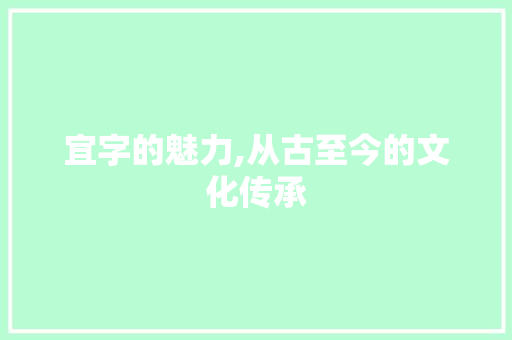 宜字的魅力,从古至今的文化传承 短语