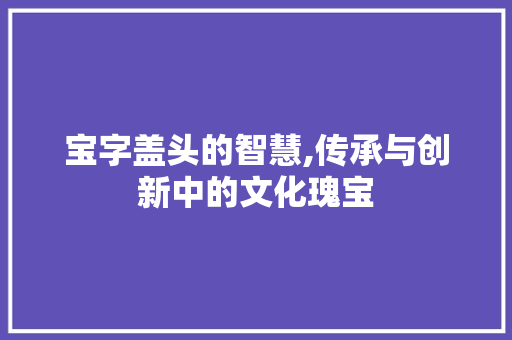 宝字盖头的智慧,传承与创新中的文化瑰宝