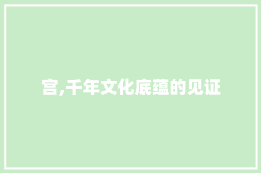宫,千年文化底蕴的见证