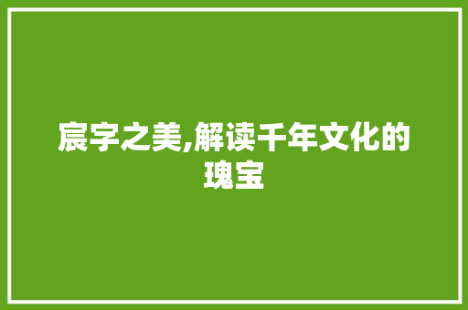 宸字之美,解读千年文化的瑰宝