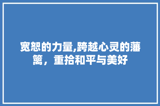宽恕的力量,跨越心灵的藩篱，重拾和平与美好