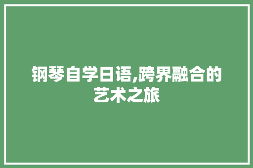 钢琴自学日语,跨界融合的艺术之旅