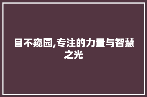 目不窥园,专注的力量与智慧之光
