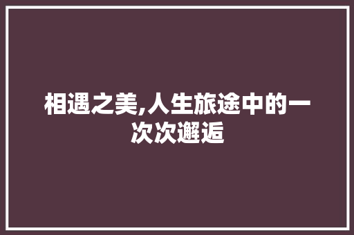 相遇之美,人生旅途中的一次次邂逅