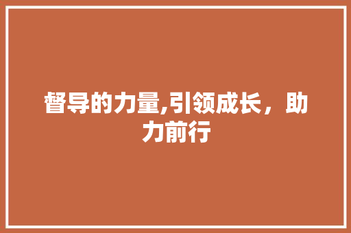 督导的力量,引领成长，助力前行