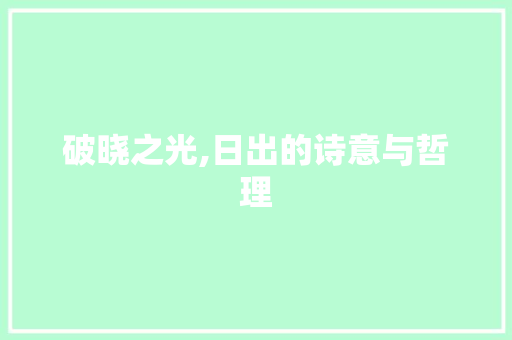 破晓之光,日出的诗意与哲理 成语汇编