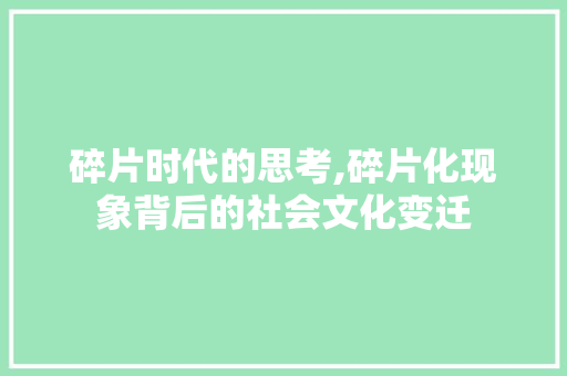碎片时代的思考,碎片化现象背后的社会文化变迁 古代典籍