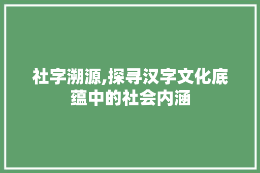 社字溯源,探寻汉字文化底蕴中的社会内涵