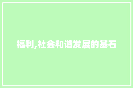 福利,社会和谐发展的基石 短语