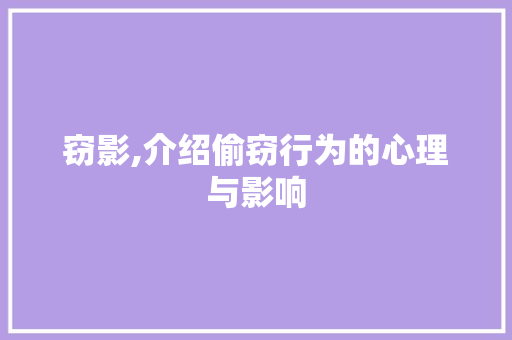 窃影,介绍偷窃行为的心理与影响