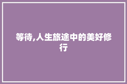 等待,人生旅途中的美好修行