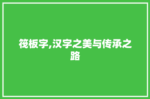 筏板字,汉字之美与传承之路 成语汇编