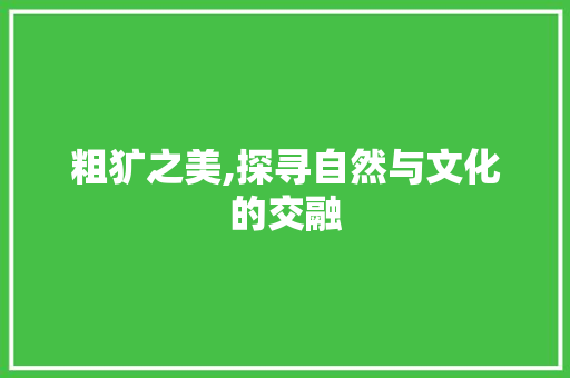 粗犷之美,探寻自然与文化的交融 问答