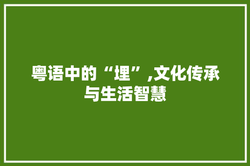 粤语中的“埋”,文化传承与生活智慧