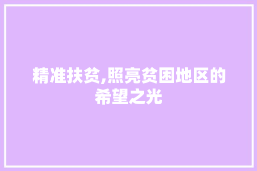 精准扶贫,照亮贫困地区的希望之光