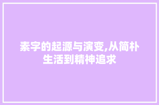 素字的起源与演变,从简朴生活到精神追求