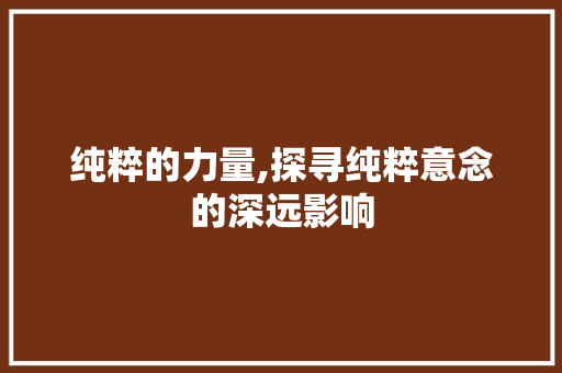 纯粹的力量,探寻纯粹意念的深远影响