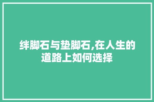 绊脚石与垫脚石,在人生的道路上如何选择