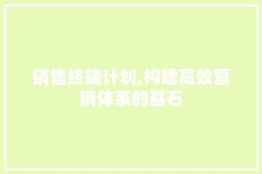 销售终端计划,构建高效营销体系的基石