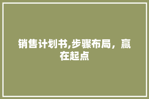销售计划书,步骤布局，赢在起点