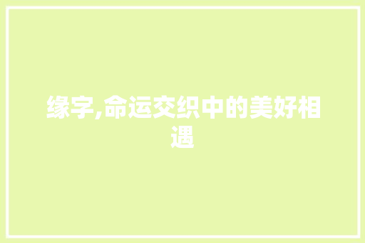 缘字,命运交织中的美好相遇 成语汇编
