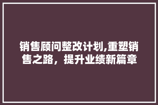 销售顾问整改计划,重塑销售之路，提升业绩新篇章