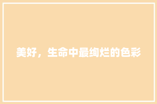 美好，生命中最绚烂的色彩