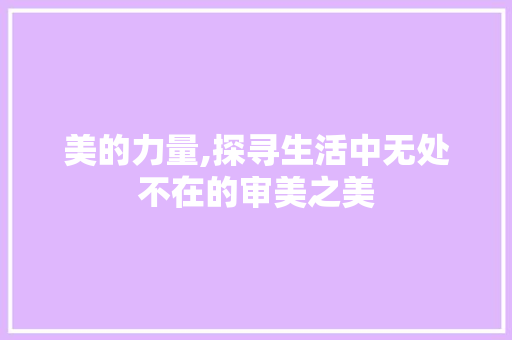 美的力量,探寻生活中无处不在的审美之美