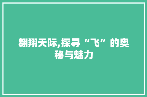 翱翔天际,探寻“飞”的奥秘与魅力