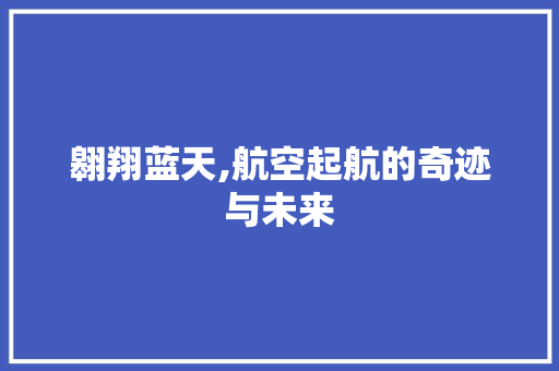 翱翔蓝天,航空起航的奇迹与未来