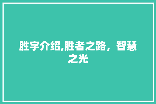 胜字介绍,胜者之路，智慧之光