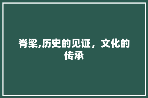 脊梁,历史的见证，文化的传承