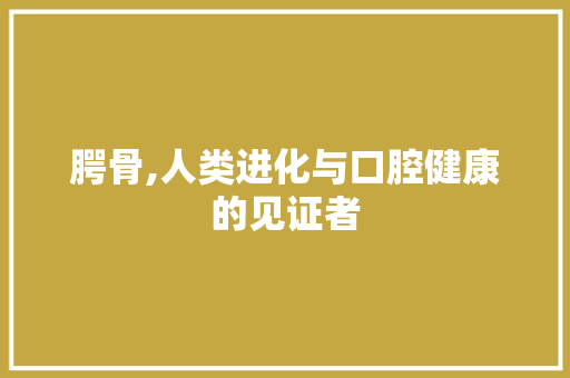 腭骨,人类进化与口腔健康的见证者