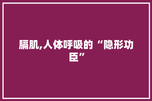 膈肌,人体呼吸的“隐形功臣”