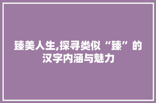 臻美人生,探寻类似“臻”的汉字内涵与魅力