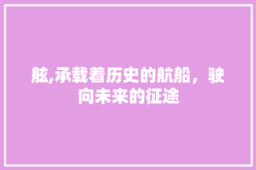 舷,承载着历史的航船，驶向未来的征途 近义词汇