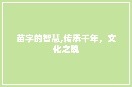 苗字的智慧,传承千年，文化之魂 英语单词