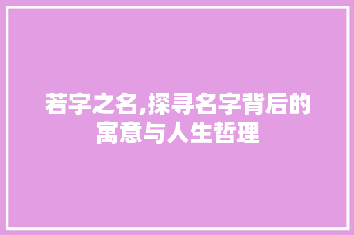 若字之名,探寻名字背后的寓意与人生哲理
