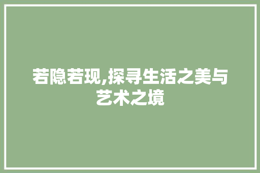 若隐若现,探寻生活之美与艺术之境