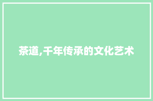 茶道,千年传承的文化艺术
