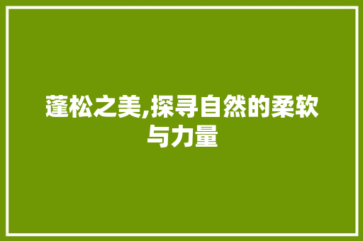 蓬松之美,探寻自然的柔软与力量