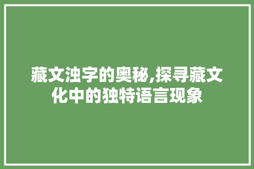 藏文浊字的奥秘,探寻藏文化中的独特语言现象