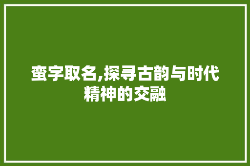 蛮字取名,探寻古韵与时代精神的交融