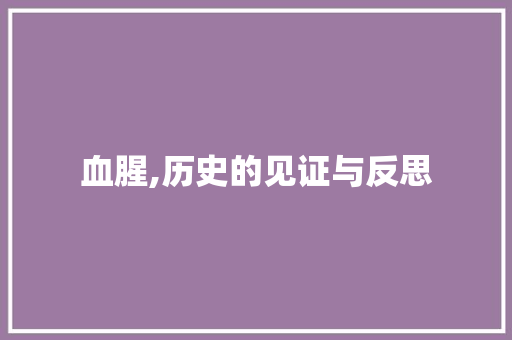 血腥,历史的见证与反思